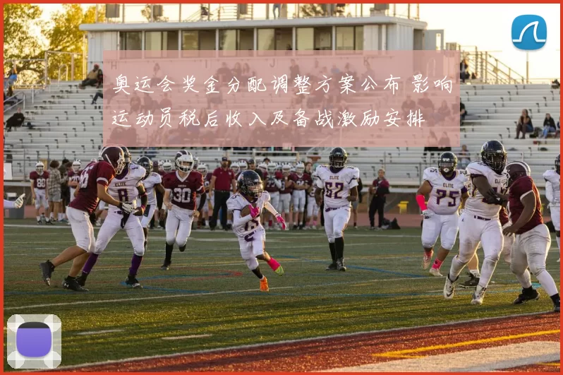 奥运会奖金分配调整方案公布 影响运动员税后收入及备战激励安排