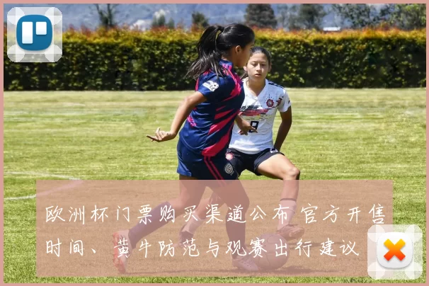 欧洲杯门票购买渠道公布 官方开售时间、黄牛防范与观赛出行建议